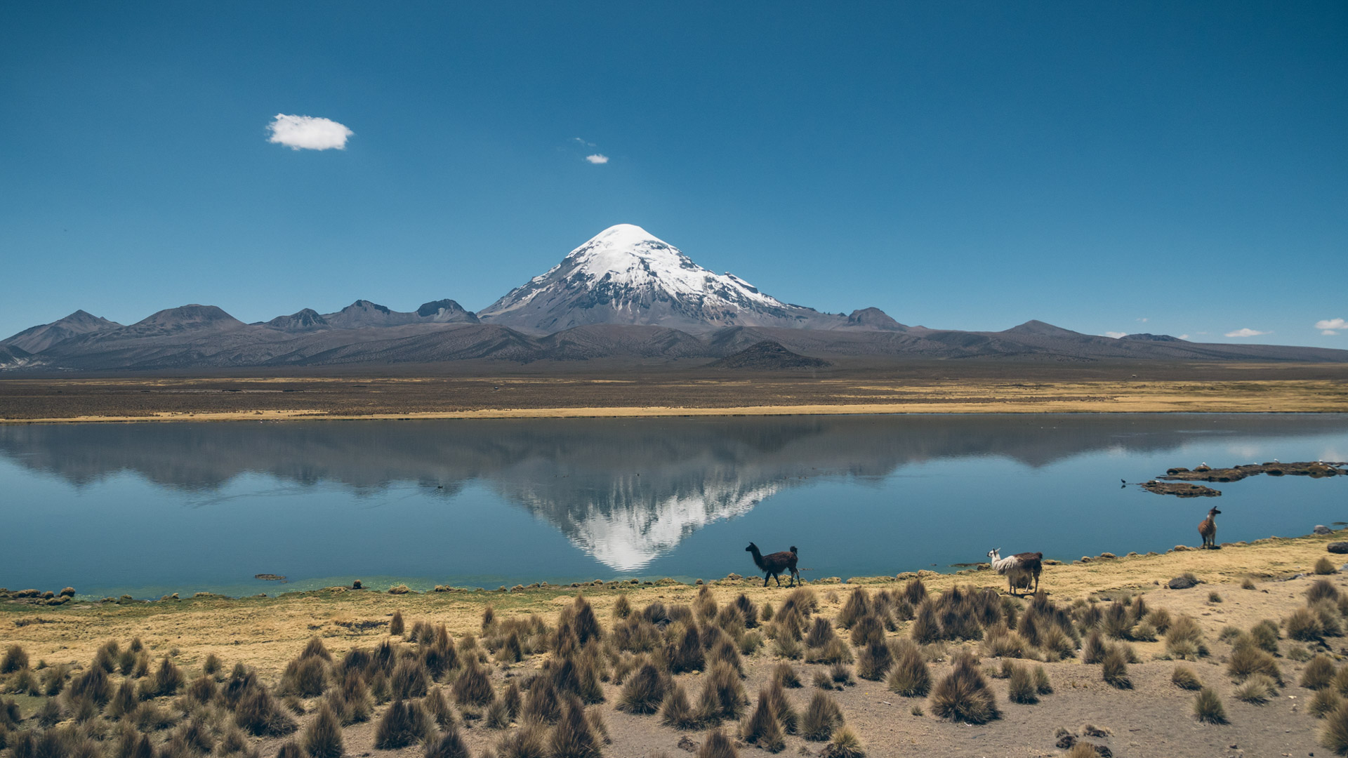 Volcan Nevado Sajama