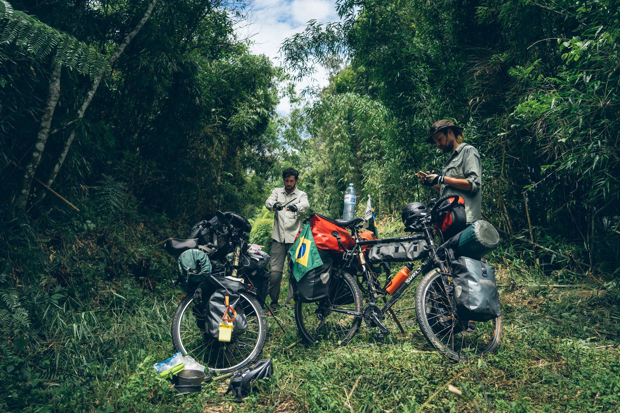 Envahi par la végétation
